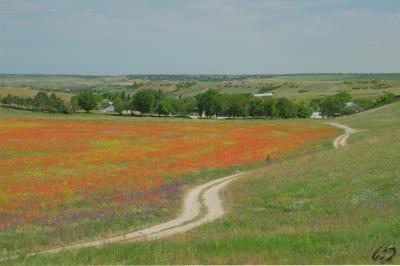 Прикрепленное изображение: 04.jpg